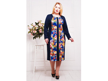 ������ CI ����