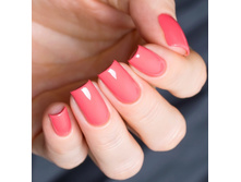 1041 ��� ��� ������ ����, 11 ��.jpg