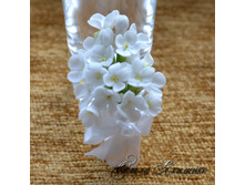 ���������� "����� ������"