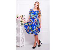 ������ CI ����