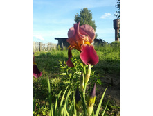 20160614 190147 resized.jpg