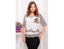 ����� CI �����