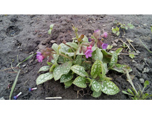 0223197c9e7c9ce005a9fe1d39268e2477f7ea34763ddd89a1e6454887f3492c — �����.jpg