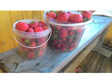 ��������� ��������)