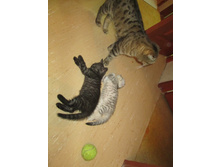 8.09.2013� �.���������. ��� (5).jpg