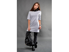 ������ TD 1243