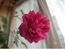 ���� 002.jpg