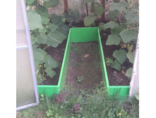 �������������� ����