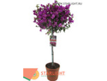 ����������� (90) 5 350.00