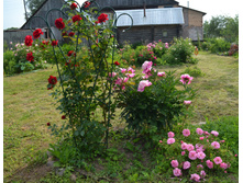 DSC 1737.JPG