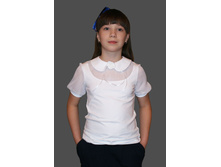 ������ D088-48, 590���.jpg