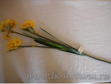 18-232 ��������� ������ 72 ��., ������� 142.00