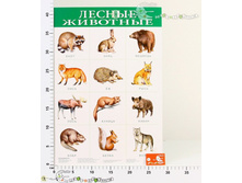 ���1919 ������ ������ �������� 1919 25,67.jpg