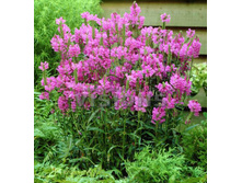 ���������� ����������.90