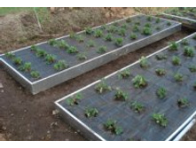 �������������� ����