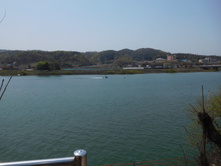 DSCN0714.JPG