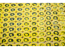 �����-����� ����� ��������� � ��������� ������� 1 ��