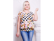 ����� CI �����