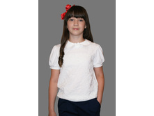 ������ D091-60, 595���.jpg