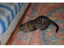 8.09.2013� �.���������. ��� (59).JPG