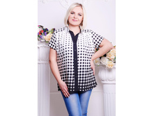 ����� CI ����