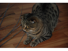 � ����� ��������2.JPG