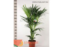 ����� ����������� (150) 3 995.00