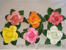 20-762 �������� ������������� � ������������ "����" 127��., ��� 58.00