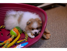 13413638 1045530205567973 4526456282213195270 n.jpg