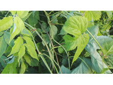 IMG 20160611 192427.jpg