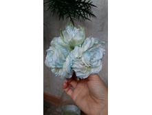 20151001 105900[1].jpg