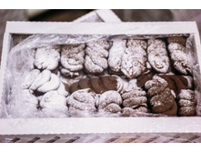 ���������� ����� � ���������.jpg