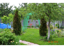 ����� "�����" ��������.