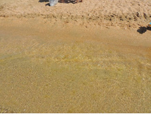 ���� ���� � ����