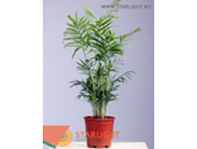 ��������� ������� (45) 255.00