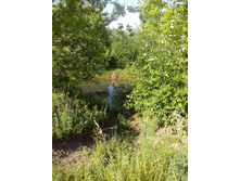 IMG 20160604 161613.jpg