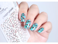 ������� df202.jpg