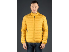 ������ B534007 yellow 1999.jpg