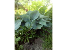 IMG 20160528 154859.jpg