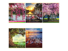 ������� 48�. �5 ������ GoodDay 17,63.jpg