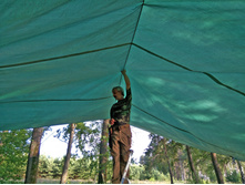 ��������  (2).JPG