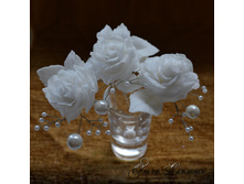 ������� ��� ����� "����� ����"