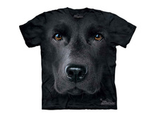 Productvar 43471.jpg