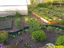 �������������� ����