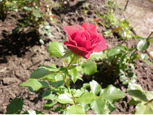 ��������� "���� ������"