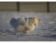 � ��������.jpg