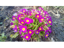 856e3ac51abe76a9242a5bfc0e64b5fbc54b2538b7150edb9afededcf095f133 — �����.jpg