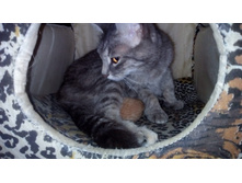 IMG 20160527 220045.jpg