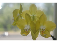 ���� (2).JPG