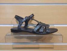 459  ��������� ������� �������� ������